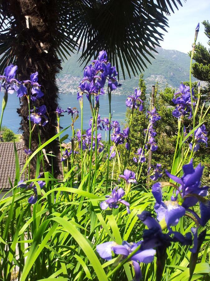 Casa Petra 1 1/2 Zi, Orgnana 83 Leilighet Gambarogno Eksteriør bilde