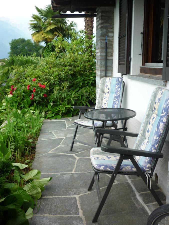 Casa Petra 1 1/2 Zi, Orgnana 83 Leilighet Gambarogno Eksteriør bilde